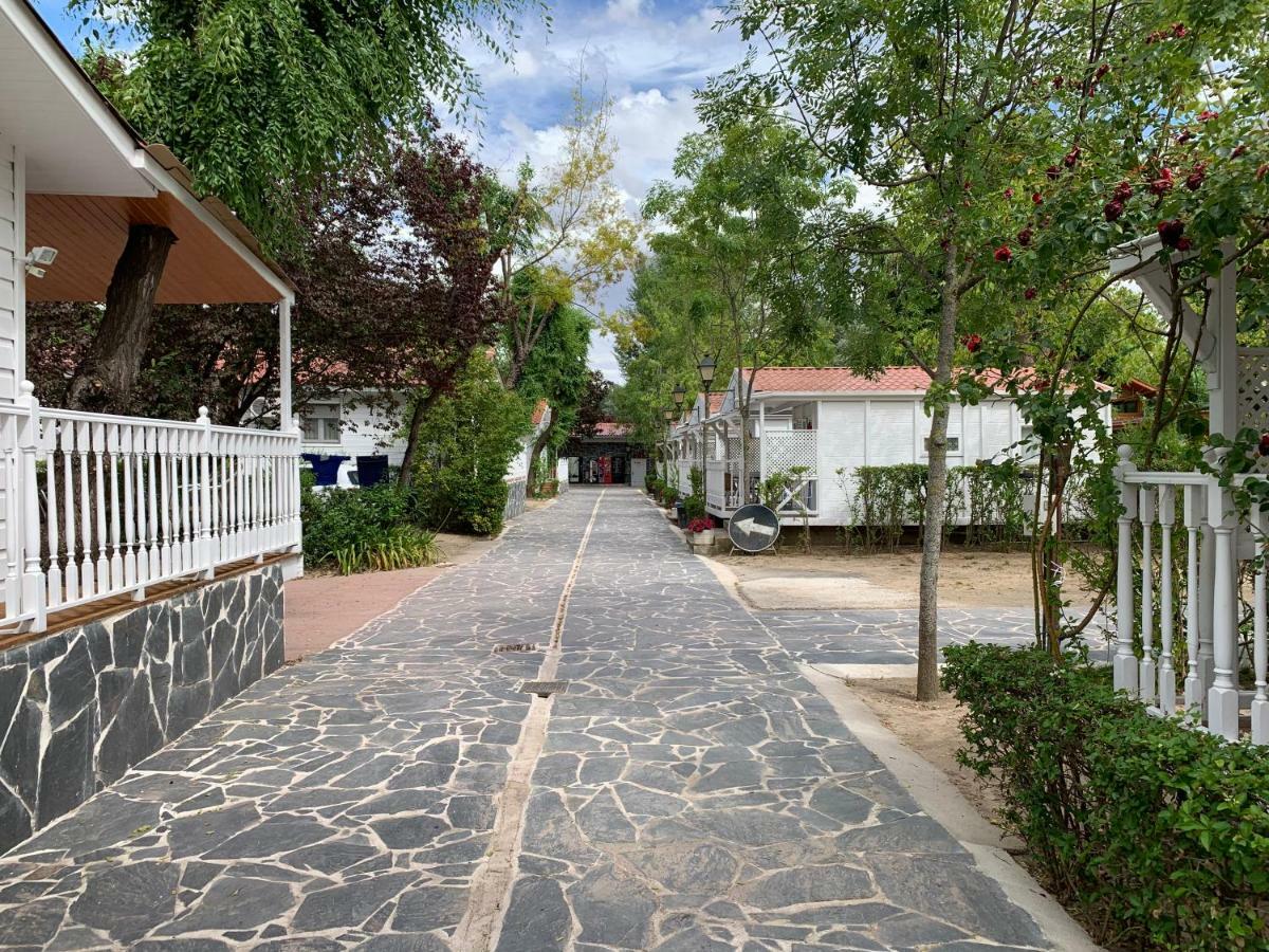 Bungalows & Albergue La Playa لوغرونيو المظهر الخارجي الصورة