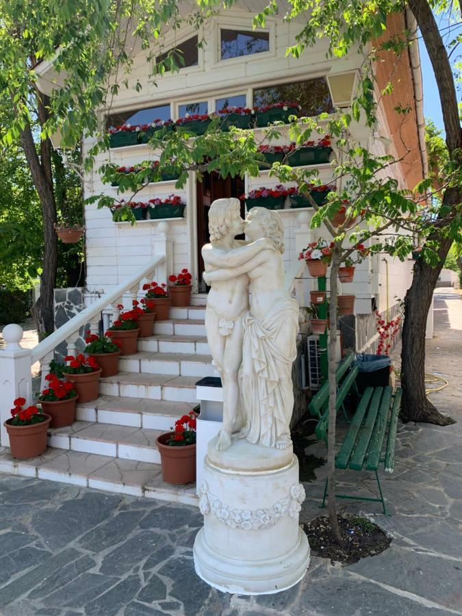 Bungalows & Albergue La Playa لوغرونيو المظهر الخارجي الصورة